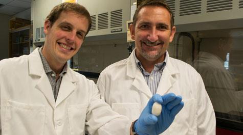 Sean Koebley (left) & Hannes Schniepp